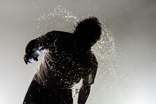 Foals