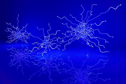 Glass and light (blue)