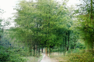 Wolfhezerheide Teil 131