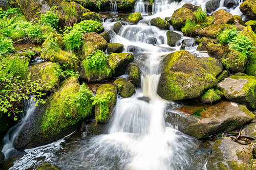 Ein Blick auf den wunderschönen Triberg-Wasserfall im Schwarzwald