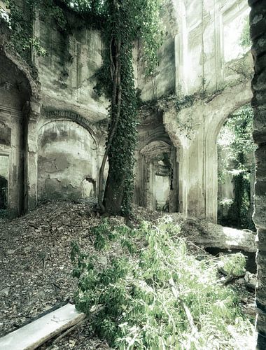 Overgrown Romantica 2