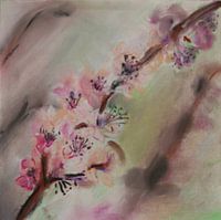 Japanse Lente: bloesemtak in verschillende tinten roze (blossom)