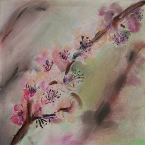 Japanse Lente: bloesemtak in verschillende tinten roze (blossom)