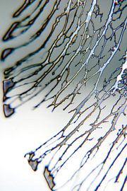 Abstractie van Ding #004d