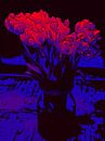 Bloemenposter Tulpen rood-blauw van Robert Biedermann thumbnail