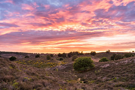 Abendrot über der Heide der Posbank
