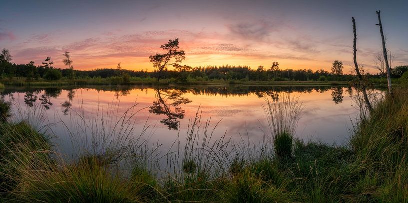Panoramic sunset Veluwe by Jan Koppelaar