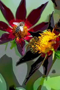 Blumen mit Bienen. Sommer und Herbst.