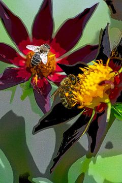 Flowers with bees. Summer and autumn. by Alie Ekkelenkamp