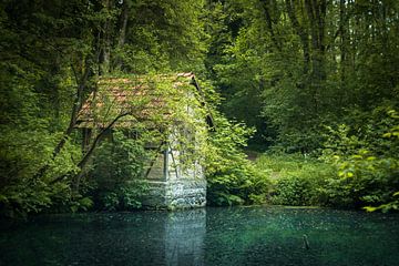 Chalet au bord du lac de la forêt