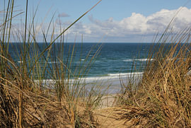 Fenêtre sur les dunes – Vue naturelle sur la mer du Nord – Photographie sur Nordlicht Atelier