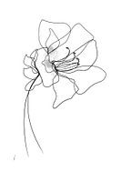 One-line drawing AZALEA