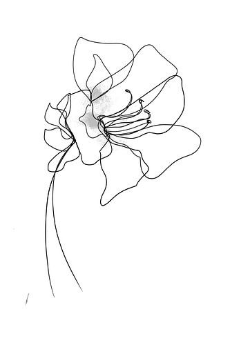 Dessin à une ligne Azalée sur Ankie Kooi