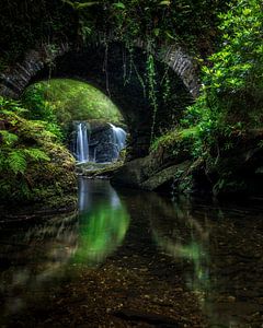 Cascade mystique
