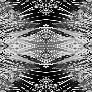 PRETTY BLACK & WHITE LINES PII