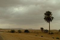 DESERT TUNISIA