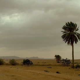 DESERT TUNISIA van Nick Kidman