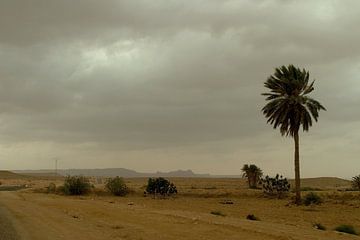 DESERT TUNISIA von Nick Kidman