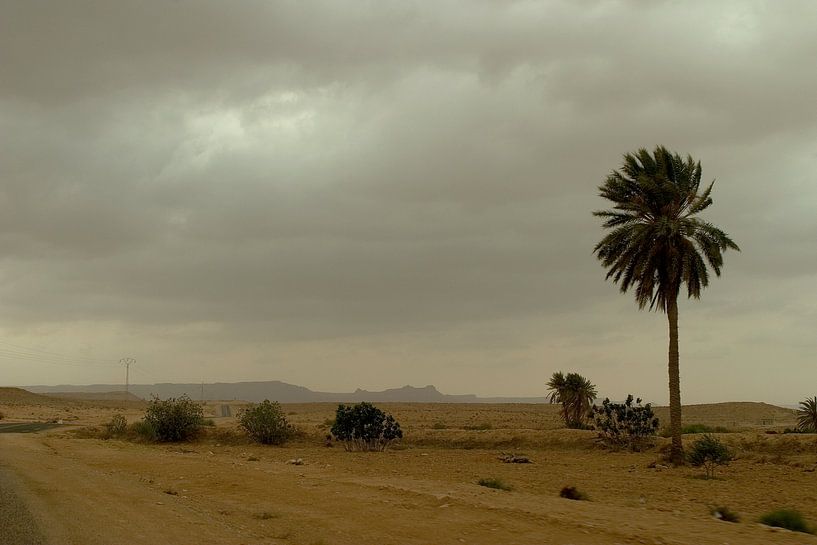 DESERT TUNISIA van Nick Kidman