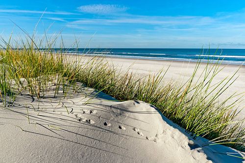 Nordsee - Langeoog