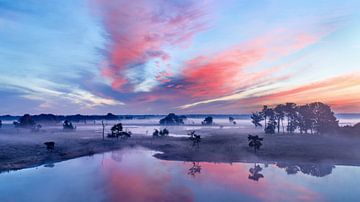 Red and blue sky during sunrise on a misty wetland_2 by Tony Vingerhoets