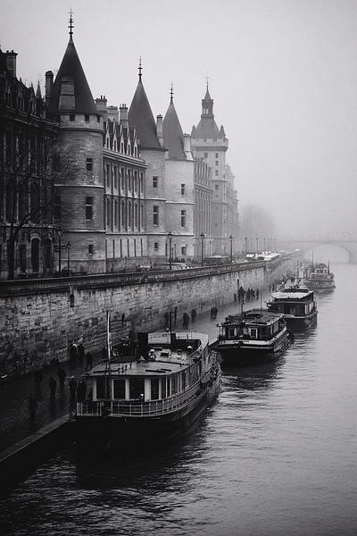 Das Gericht im Flussnebel der Seine von Skyfall