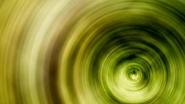 Cercles concentriques sur Günter Albers