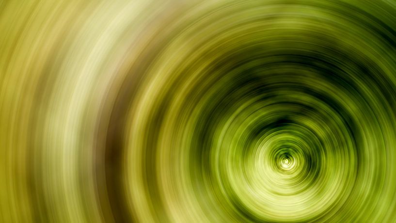 Concentrische cirkels van Günter Albers