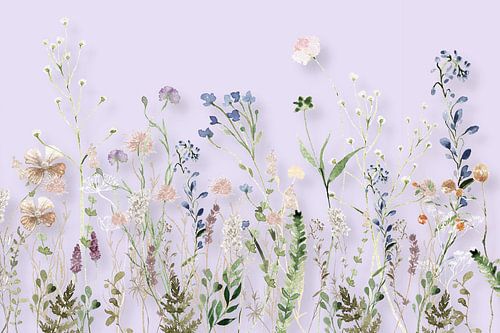 Wildflower Meadow Summer Lilac