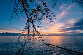 Ostseeküste auf der Insel Moen in Dänemark sur Rico Ködder