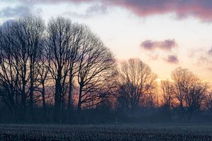 Ein Morgen voller Farben
