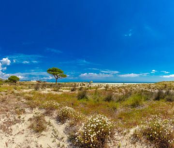 Een eenzame parasol aan het Caletta strand, Siniscola, La Caletta, Sardinia, Italië van Rene van der Meer