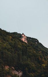 Castle on the mountain by Collin Arts