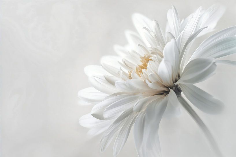 Delicate White no.3 van Studio BB