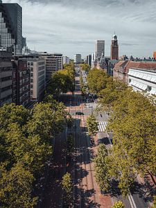 De Coolsingel van Jelte Lagendijk