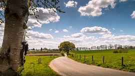 Ontwaak met de Lente: Landschap van Molsberg naar Simpelveld van De Visuele Wereld van Jan-Willem van den Bergh