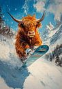 Highland Cow by Niklas Maximilian thumbnail