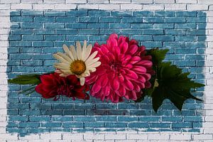 Stilleben an der blauen Wand