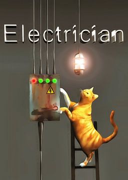 Chats: électricien