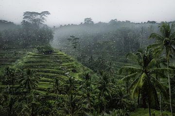 Regen bij Tegalalang rijstveld in Ubud, Bali van Bart Hageman Photography