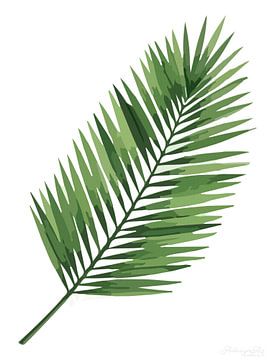 Stille botanica – Palmblad in het wit