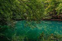 Bleu vif