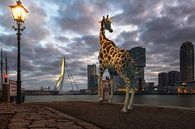 Urban Wild IV van Arjen Roos thumbnail