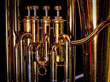 Tuba valves by Rob Boon