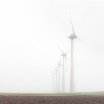 Windmolens in de mist bij Urk van Nicky Kapel