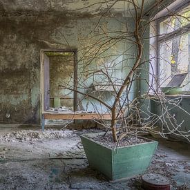 Das Wartezimmer in dem verlassenen Krankenhaus von Truus Nijland