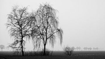 treurberken in landschap 2 van jan van de ven