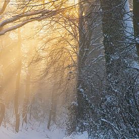 Combination of snow and sun harps by peter reinders