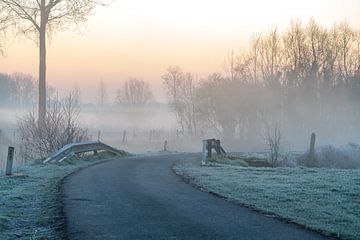 Ochtend mist langs de Dender