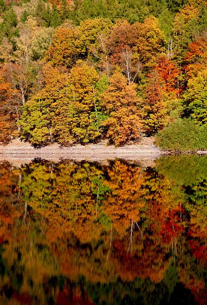 Goldener Oktober von Thomas Jäger